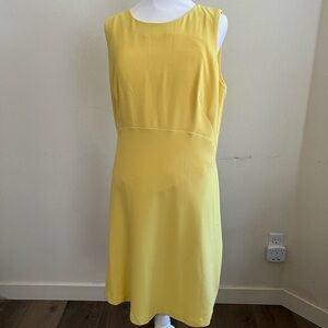 Women’s Limited 14 Petite sleeveless dress.